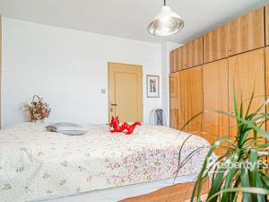 Prodej rodinného domu, Havířov - Prostřední Suchá, Povoznická, 250 m2