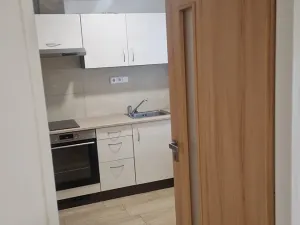 Pronájem bytu 1+kk, Zápy, 29 m2