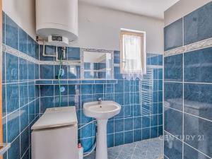 Prodej rodinného domu, Horní Cerekev, 460 m2