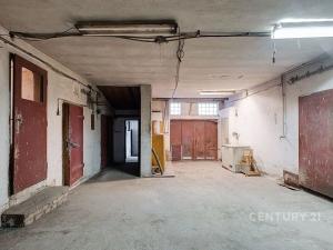 Prodej rodinného domu, Horní Cerekev, 460 m2