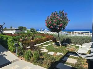 Prodej bytu 2+1, Agios Amvrosios Keryneias, Kypr, 83 m2