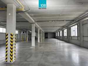 Prodej výrobních prostor, Horka nad Moravou, Družstevní, 10303 m2