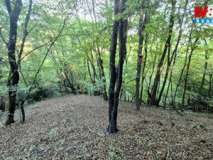 Prodej chaty, Zbečno - Újezd nad Zbečnem, 33 m2