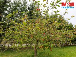 Prodej pozemku pro bydlení, Štichov, 1030 m2