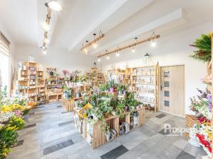 Prodej komerční, Ostrava - Mariánské Hory, 28. října, 198 m2