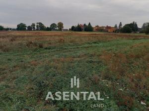 Prodej pozemku, Petřvald, Modrá, 24368 m2