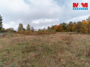 Prodej pozemku pro bydlení, Podhradí, 1091 m2