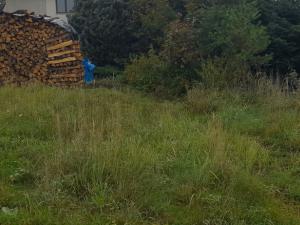 Prodej komerčního pozemku, Nechvalice, 1782 m2