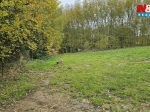 Prodej louky, Jedlí, 7881 m2