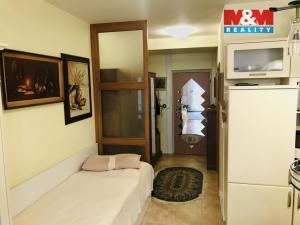 Pronájem bytu 1+kk, Zlín, Pasecká, 46 m2