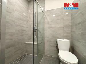 Pronájem bytu 2+kk, Litoměřice - Litoměřice-Město, Dlouhá, 55 m2