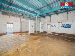 Prodej ubytování, Havlovice, 1236 m2