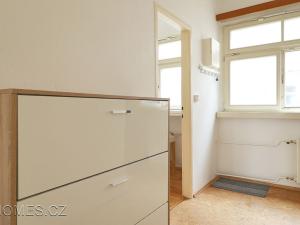 Pronájem bytu 1+1, Praha - Nové Město, Opletalova, 35 m2