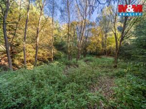 Prodej pozemku pro bydlení, Probulov, 3073 m2