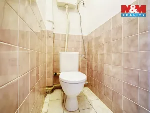 Prodej rodinného domu, Nečtiny - Březín, 335 m2