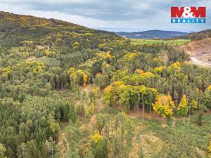 Prodej lesa, Ježovy - Trnčí, 39171 m2