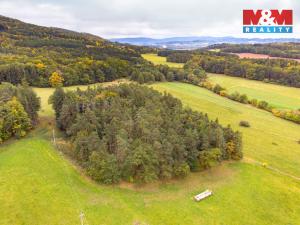 Prodej lesa, Ježovy - Trnčí, 39171 m2