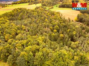 Prodej lesa, Ježovy - Trnčí, 39171 m2
