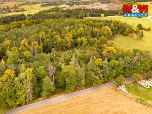 Prodej lesa, Ježovy - Trnčí, 39171 m2
