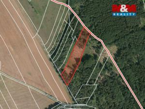 Prodej lesa, Ježovy - Trnčí, 39171 m2