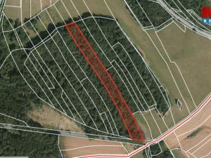 Prodej lesa, Ježovy - Trnčí, 39171 m2