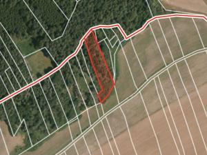 Prodej lesa, Ježovy - Trnčí, 39171 m2