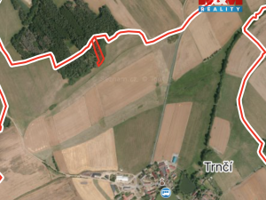 Prodej lesa, Ježovy - Trnčí, 39171 m2