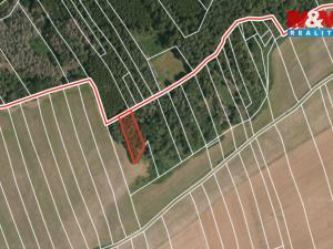 Prodej lesa, Ježovy - Trnčí, 39171 m2