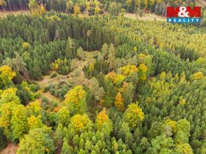 Prodej lesa, Černíkov, 12446 m2