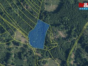 Prodej lesa, Černíkov, 12446 m2