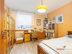 Prodej bytu 3+1, Hradec Králové - Nový Hradec Králové, Milady Horákové, 70 m2