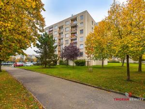 Prodej bytu 3+1, Hradec Králové - Nový Hradec Králové, Milady Horákové, 70 m2