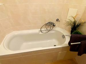 Pronájem bytu 2+kk, Praha - Vršovice, Bulharská, 45 m2