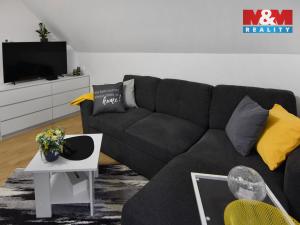 Pronájem bytu 1+kk, Plazy, 30 m2