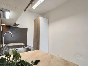 Pronájem bytu 2+kk, Mladá Boleslav - Mladá Boleslav III, Zalužanská, 45 m2