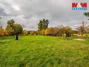 Prodej pozemku pro bydlení, Mirovice - Plíškovice, 4705 m2