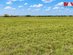 Prodej pole, Dolní Roveň - Komárov, 9779 m2