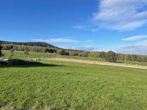 Prodej zahrady, Hrádek nad Nisou - Dolní Sedlo, Horská, 955 m2