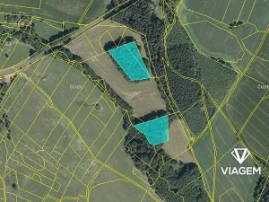 Prodej podílu lesa, Pustá Kamenice, 2849 m2