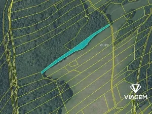 Prodej podílu lesa, Fulnek, 7911 m2