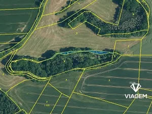 Prodej lesa, Zahořany, 678 m2