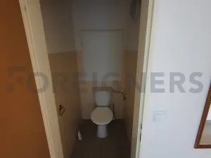 Pronájem bytu 1+kk, Brno, Tomečkova, 45 m2