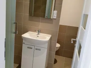 Pronájem bytu 1+1, Přerov, Teličkova, 32 m2