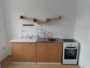 Pronájem bytu 1+kk, Jeseník, Křižkovského, 40 m2