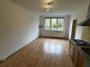 Pronájem bytu 4+kk, Strakonice, Na Ohradě, 77 m2