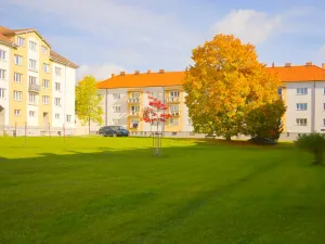 Prodej bytu 2+1, Bechyně, Na Libuši, 59 m2