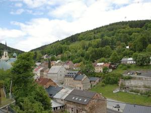 Prodej rodinného domu, Jáchymov, Mincovní, 406 m2