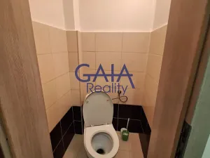 Pronájem bytu 2+kk, Prostějov, Wolkerova, 64 m2