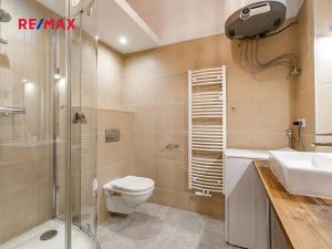 Pronájem bytu 1+1, Praha - Smíchov, Staropramenná, 40 m2