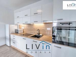 Pronájem bytu 2+kk, Olomouc, 17. listopadu, 67 m2